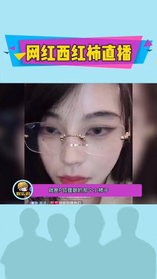 网红爆料教程视频,教程视频制作全攻略  第2张