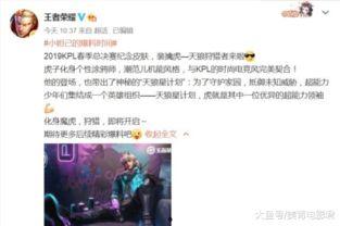 王昭新皮肤爆料视频大全,华丽变身，探寻神秘新装  第2张